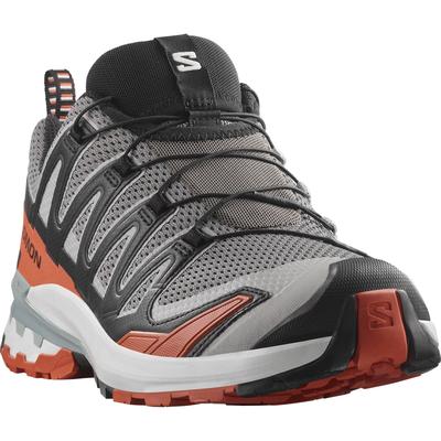 Trailrunningschuh SALOMON "XA PRO 3D V9", Gr. 45, castlerock, schwarz, burnt ochre, Synthetik, Textil, sportlich, Schuhe