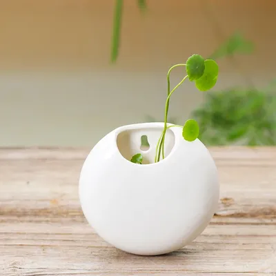 Vases