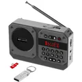 Mini radio FM portatile Ricevitore radio ad alta sensibilità Altoparlante Bluetooth Hifi wireless con supporto per microfono Registrazione Riproduzione USB TF