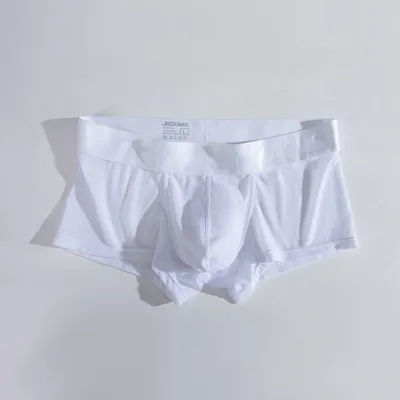 Herren sexy Slips u konvexe Beutel Höschen Eis Seide transparente Unterwäsche atmungsaktive Image