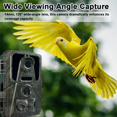 120 ° Weitwinkel objektiv Trail Kamera ips Display Wildlife Kamera Infrarot Tracking Sensor Nachtsicht kamera wasserdicht 3 Pir Objektiv