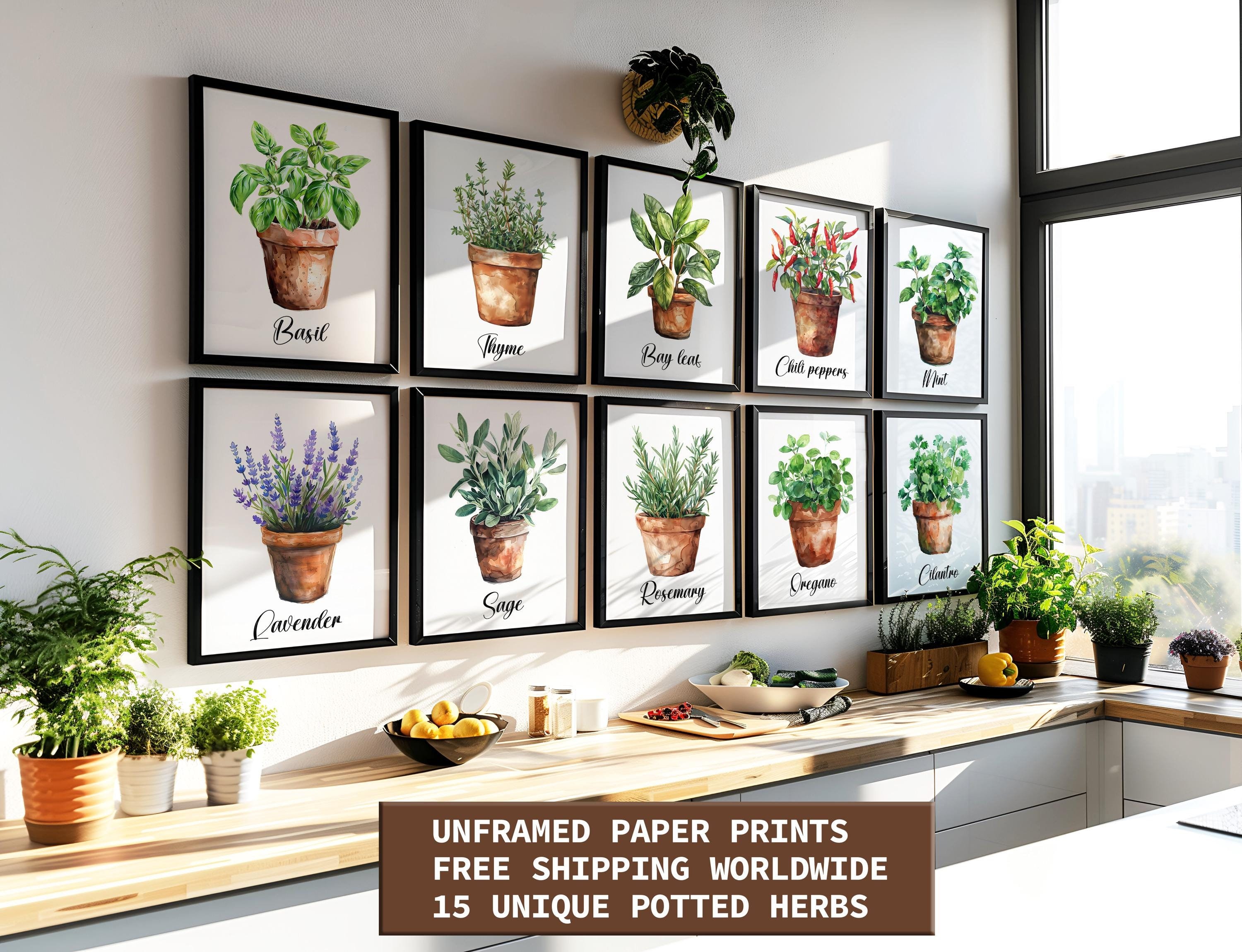 Moderna arte murale con erbe aromatiche in vaso ad acquerello da 3, 6 o 12 pezzi, decorazione murale con erbe aromatiche culinarie da cucina, stampa a