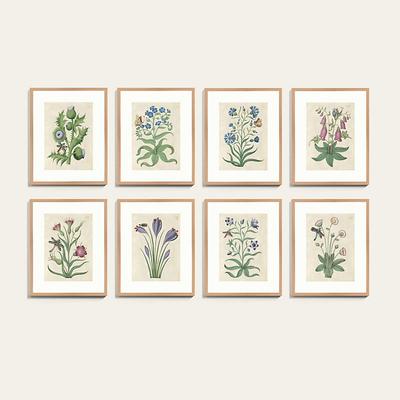 Book of Flower Studies Art - Print III, 26