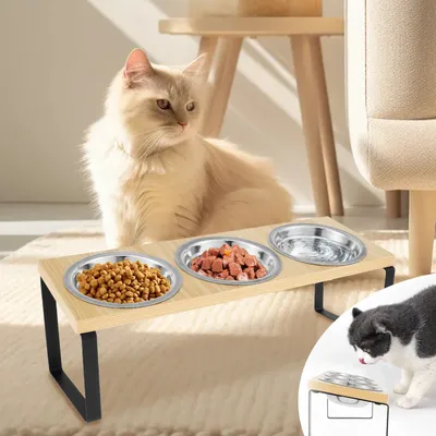 Erhöhte Katzennäpfe aus Holz, Katzennapfständer 15 ° Geneigter, erhöhter Futterspender für Katzen, Image