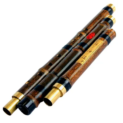 High Quality Professional Chinese Vertical Bamboo Flute Xiao Woodwind Musical Instrument Key of F/G