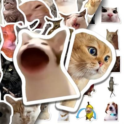 TEMU 202pcs Funny Cat Meme Stickers Set With Storage Box, Waterproof, No Battery Needed, Featherless, For Journals, Scrapbooking, Diy Crafts, Laptops, Phone Cases