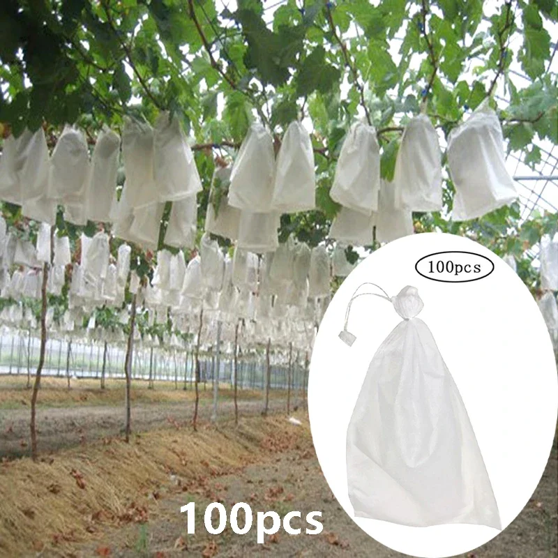 100 pièces jardin fraise raisins fruits Protection sacs couverture plante pépinière sac antiparasitaire Anti-oiseau maille sac jardinage protéger