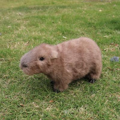 TEMU 1pc Of A Cute Capybara Model, A Realistic Water Pig Ornament For Desktop Home Decoration.