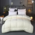 Couette matelassée épaisse grise de style hôtel d'hiver, couette douce Queen King, très chaude, couverture 220x240