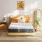 12 Inch Queen Size Mattresses with Memory Foam and Independent Spring, Soft & Comfortable, Pressure