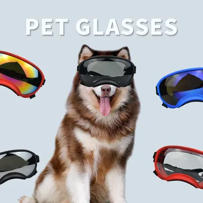 More+Pet+Supplies