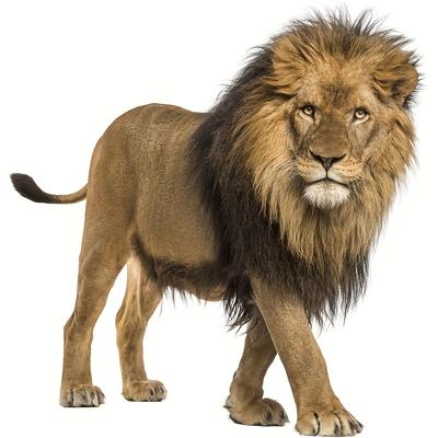 TEMU Classic Lion Wall Decals, Self-adhesive Plastic Stickers, Simulation Wall Art For Bedroom, Living Room, Porch Home Decor