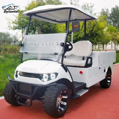 Factory Golf Cart 2 Seater Off-Road Golf Cart Street Legal Hunting Club Cart 72V Lithium Battery 4