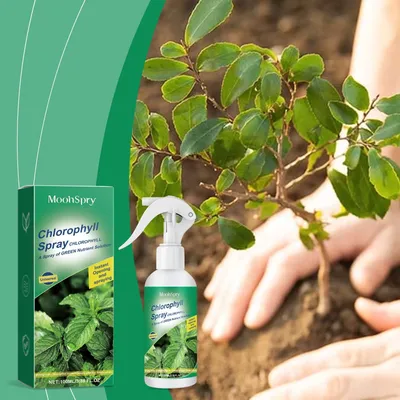 MoonSpry chlorophyll spray universal whole plant nutrient solution for healthy growth of green