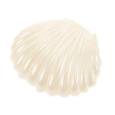 Jewelry Dish Tray Shell Box Key Display Organizer Clam Treat Holders White Plastic Oyster