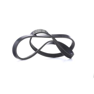 RIDEX Keilrippenriemen FORD,RENAULT,FIAT 305P0019 F32Z8620K,4038260,MB439494 Rippenriemen FS5918381,3396931,1172000QAS,K80515907B,9091602348,MR148323 Image
