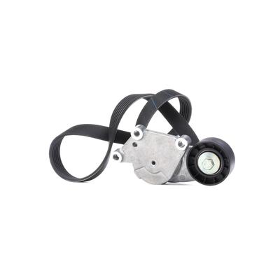 SKF Keilrippenriemensatz FORD,PEUGEOT,CITROËN VKMA 33222 155255232,1690293,1701514 AV6Q6A228AB,1611277580,1611425680,31316434,31330244,AV6Q6C301AA Image