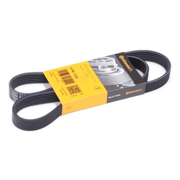 CONTITECH Keilrippenriemen VW,AUDI,RENAULT 6PK1125 21108114096,032145933S,032145933E Rippenriemen 9110599,7700114730,6PK1123,6PK1124,5750GN,036145933D Image