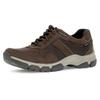 Sneaker PIUS GABOR, Herren, Gr. 10 (44,5), braun (dunkelbraun), Nubukleder, Mesh, sportlich, Schuhe, Schnürschuh, Halbschuh, Freizeitschuh mit GORE-TEX, Weite G