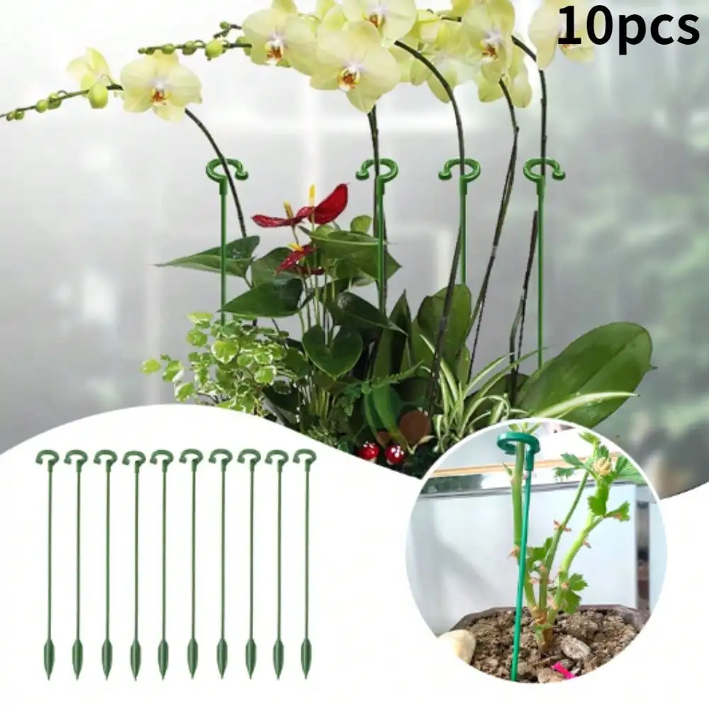10 teile/satz Pflanzens tützen Pfähle Einzels tamm Pflanze Käfig Stütz ring Garten Blumen Rosen Tomaten Gemüse Fixieren Anti-Fallen Image