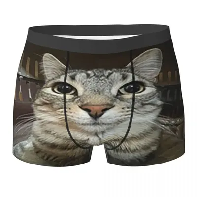 Boxer-Unterhose, Shorts, Katze, die direkt ansehen, Höschen, Herren, belüftete Unterwäsche für Image