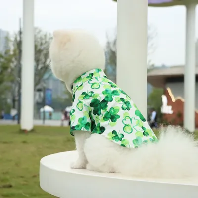 Pet+Costumes