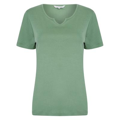 T-Shirts Calandra Plain 100% Cotton Notch Neck T-Shirt in Green Bay - Amara Reya / 16 - Tokyo Laundry