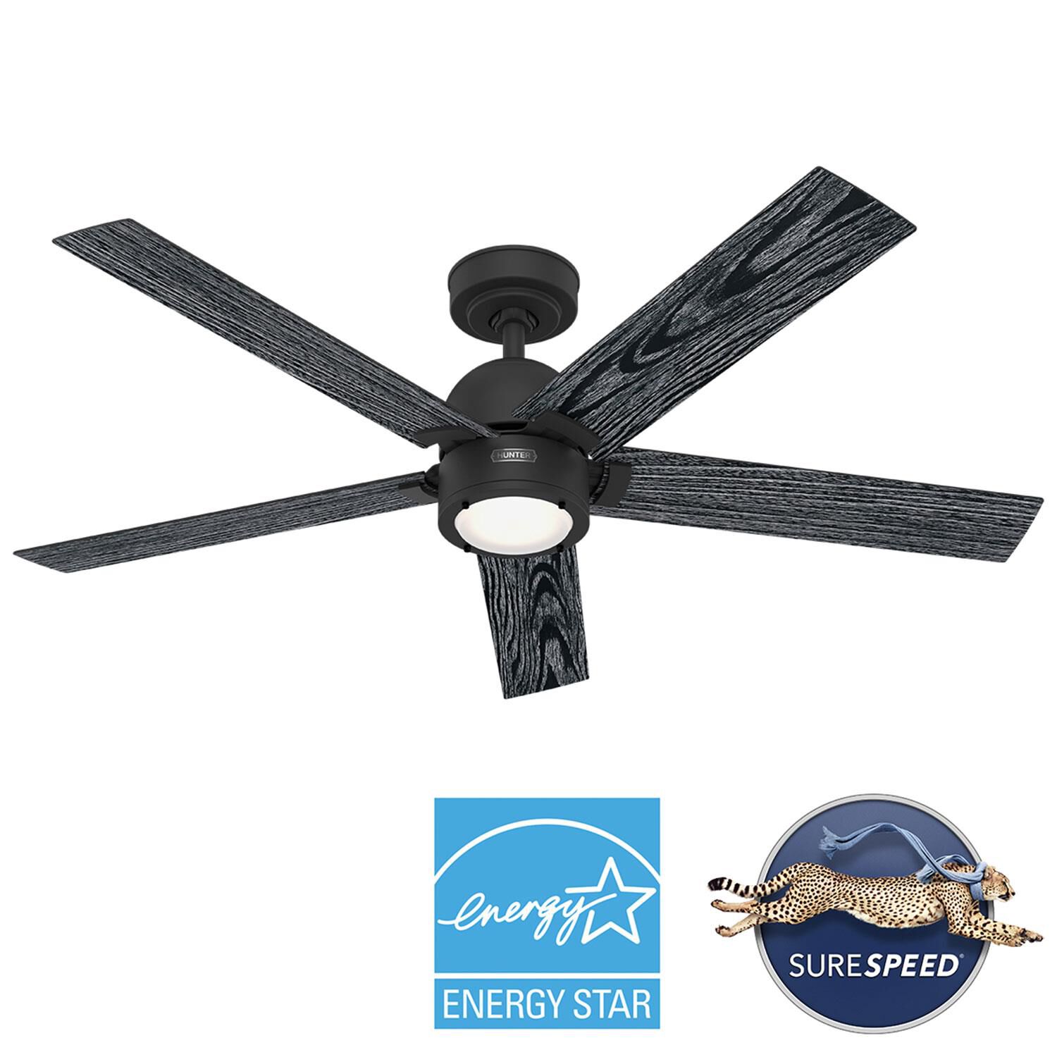 Hunter Fan Erling 52 Inch Ceiling Fan with Light Kit - 52850
