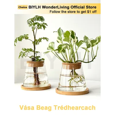 2/1Pcs Transparent Small Vase For Home Decoration Hydroponic Plants Glass Flower Pots Garden Decor With Base Tray Plant Pots