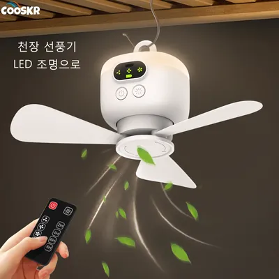 Ceiling+Fans