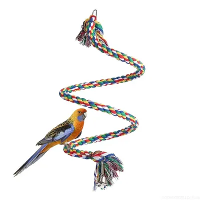 Bird+Supplies