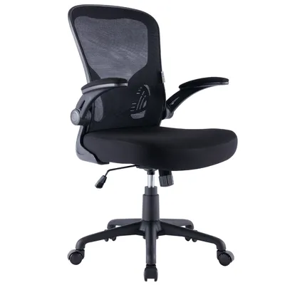 ZIK Ergonomischer Bürostuhl mit Lendenwirbelstütze und Armlehnen, schwenkbar - Schwarz. Image