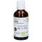 Phytogem NR 21 Cholesterin 40 ml Tropfen zum Einnehmen