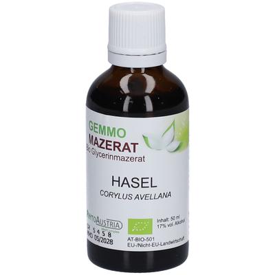 Gemmo Mazerat BIO Hasel 50 ml Tropfen zum Einnehmen Image