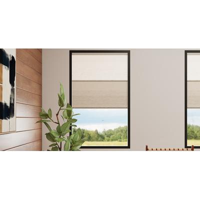 Budget Cordless Blackout Cellular Shades | 24" x 36"