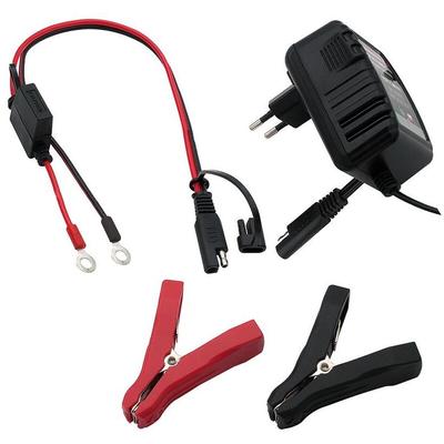 Caricabatterie per batterie al piombo per auto e moto 6V/12V 0,75A con connettori ad occhiello e