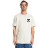T-Shirt DC SHOES "The Venue", Herren, Gr. M, beige (pelican), 75% Baumwolle, 25% Baumwolle, Kurzarm, Shirts