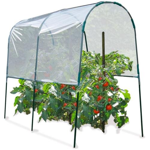 Tomatengewächshaus 2 M