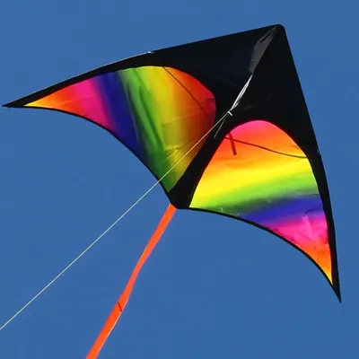 2x3m Tail Big Triangle Kite Easy To Fly Large Kite Toy with Wire Board Primary Stunt Kite Enhance