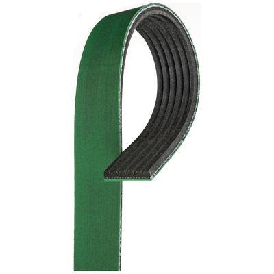 Gates Serpentine Belt EPDM & Polyester Cord V-belt Micro-V Series, Hub Air Conditioning, Lifetime limited warranty K060532HD