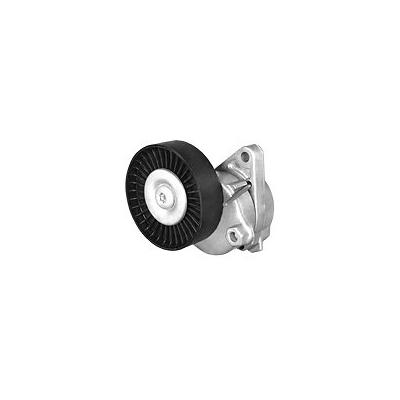 Dayco Accessory Belt Tensioner No Slack Automatic Series, 89335