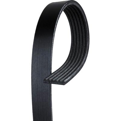 Gates Serpentine Belt, K061369