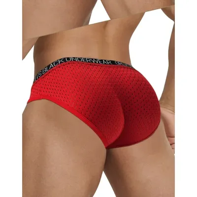 New sports fitness briefs, panties, mesh breathable triangle shorts OR6299 Image