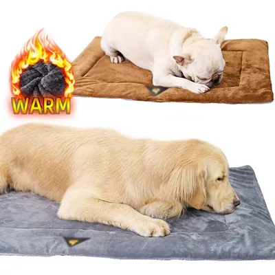 Selbst erhitzende Haustier kissen Hunde bett wärmer matte Flanell welpen matte ältere Haustiere Image