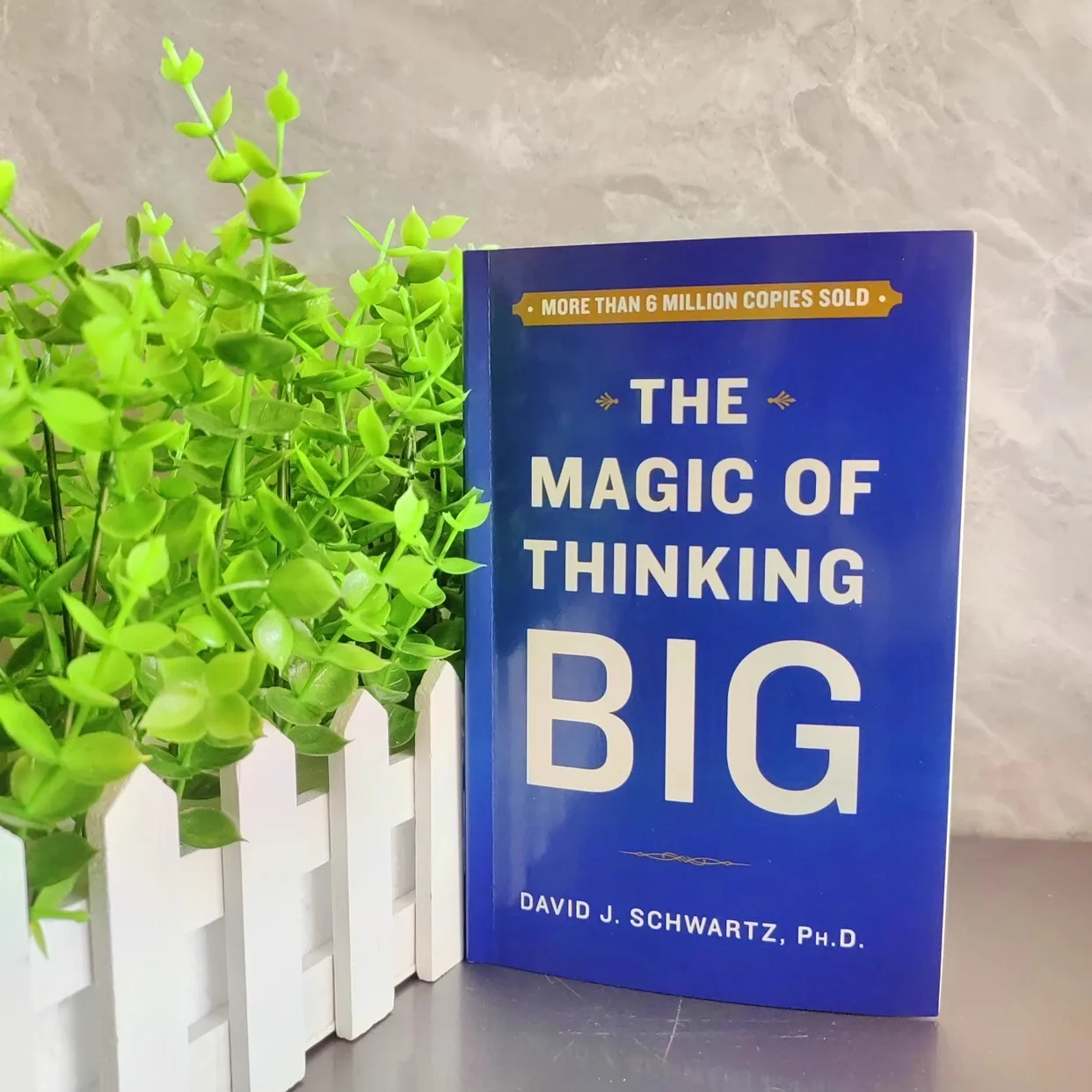 The Magic Of Thinking BIG von David J. Schwartz Success Self-Help Englisches Buch Image