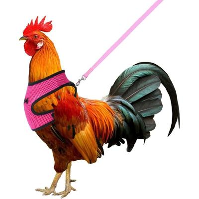 Verstellbares, atmungsaktives Hühner-Haustiergeschirr mit Leine für Hühner, Enten, Gänse, Image