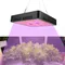 300W élèvent la lampe 100LED puces élèvent la lampe plante élèvent la lumière spectre complet plante LED panneau élèvent des lumières luminaire