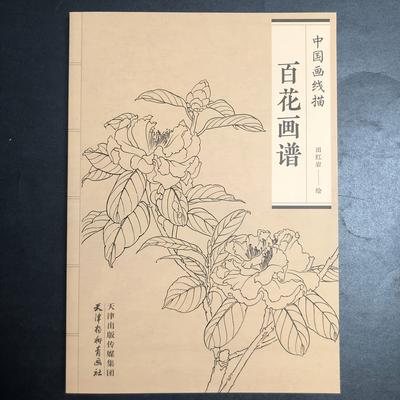 TEMU A Guide To Floral Painting, Focusing On Traditional Chinese Ink Drawings. Chinese Version