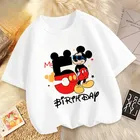 Maglietta in cotone per bambini di Topolino Disney Cartoon Boy Compleanno Vestiti Ragazza T-shirt Camicia Vestiti Anime Kawaii Top Abbigliamento per bambini