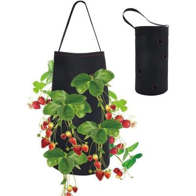 38 x 22 cm) Erdbeer-Pflanzbeutel, Pflanzbeutel, Garten-Pflanzbeutel für Erdbeeren, für Image